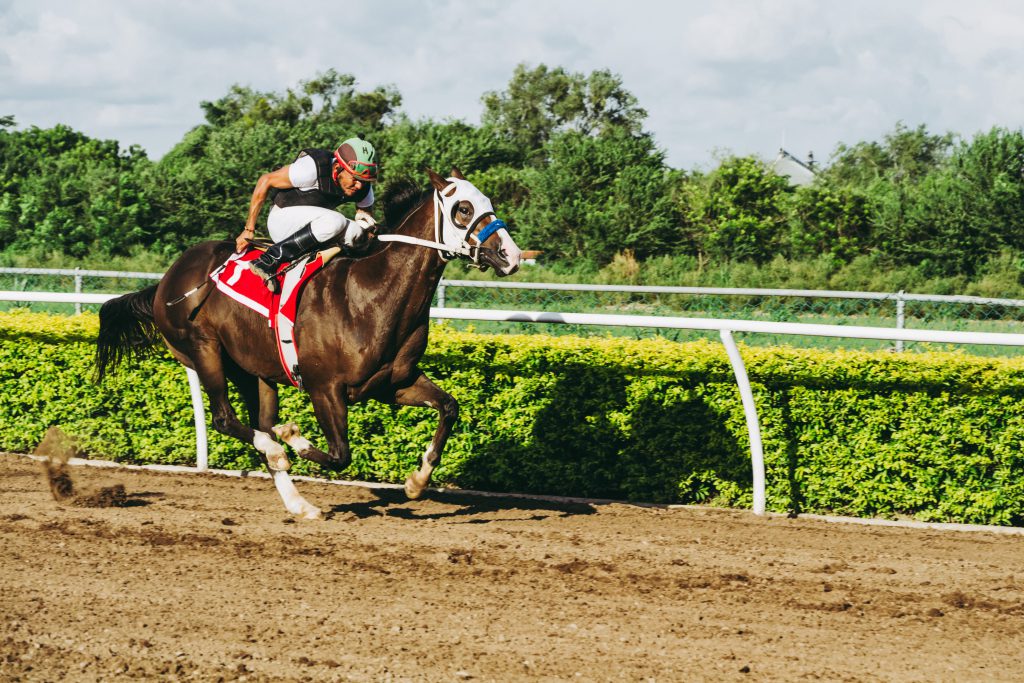 Gulliksson är samarbetspartner till Flyinge AB European Us Asian